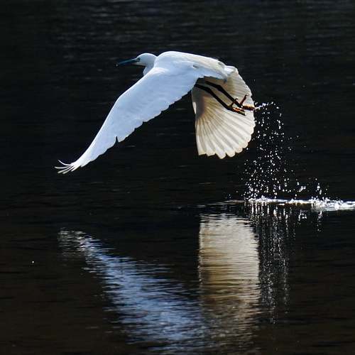 순천에서의 특별한 여행, 꼭 가봐야 할 최고의 10곳!