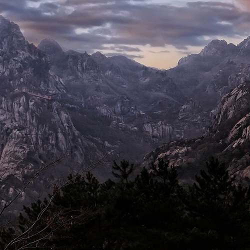 제주 반려견 축제, 구팔일댕댕이대잔치! 잊지 못할 경험을 선사할 프로그래밍과 혜택 안내