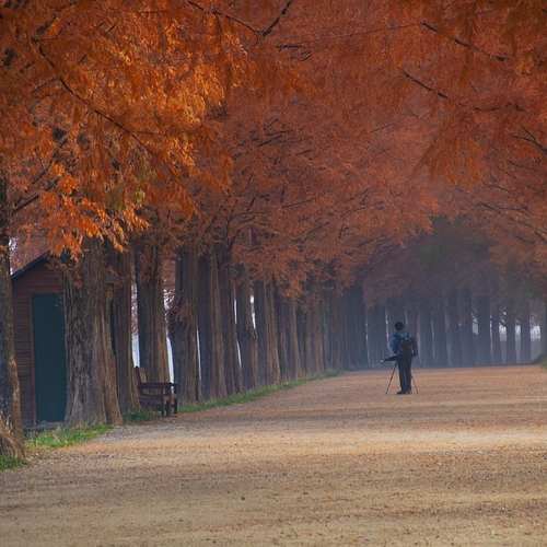 담양 여행, 자연과 문화가 어우러진 가볼만한 곳 10곳 소개