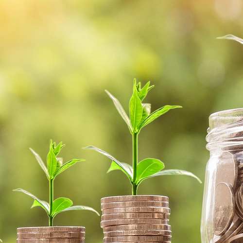 무직자도 쉽게 신청할 수 있는 제2금융권 대출의 모든 것