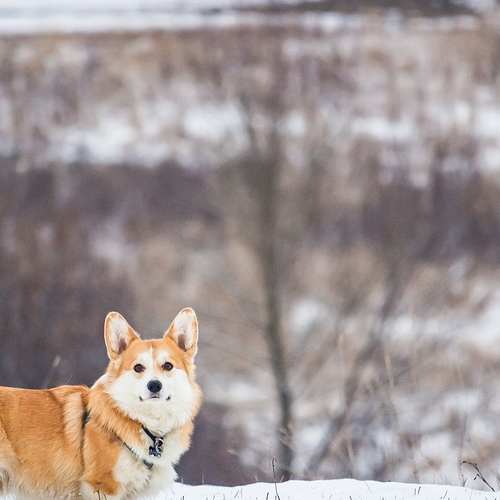 코리아빌드위크와 함께 알아보는 킨텍스 2월 전시 일정!