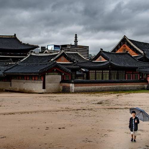 대한민국 월드컵 아시아 3차 예선! 요르단 및 이라크전 생중계 일정
