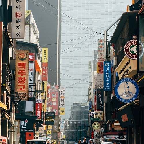 건강한 관절을 위한 필수 영양제 6가지