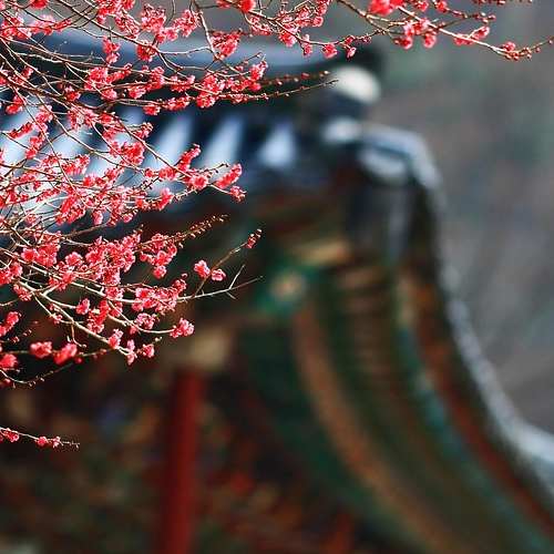 향정신성 의약품: 그 신비한 세계와 위험한 부작용에 대해