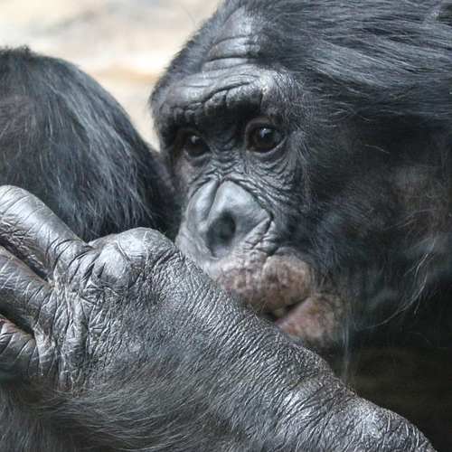 숨겨진 보물 같은 치악산 구룡야영장과 구룡사 탐방기
