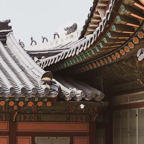 해외 직구, 통관번호로 배송 상태 실시간 확인하는 법