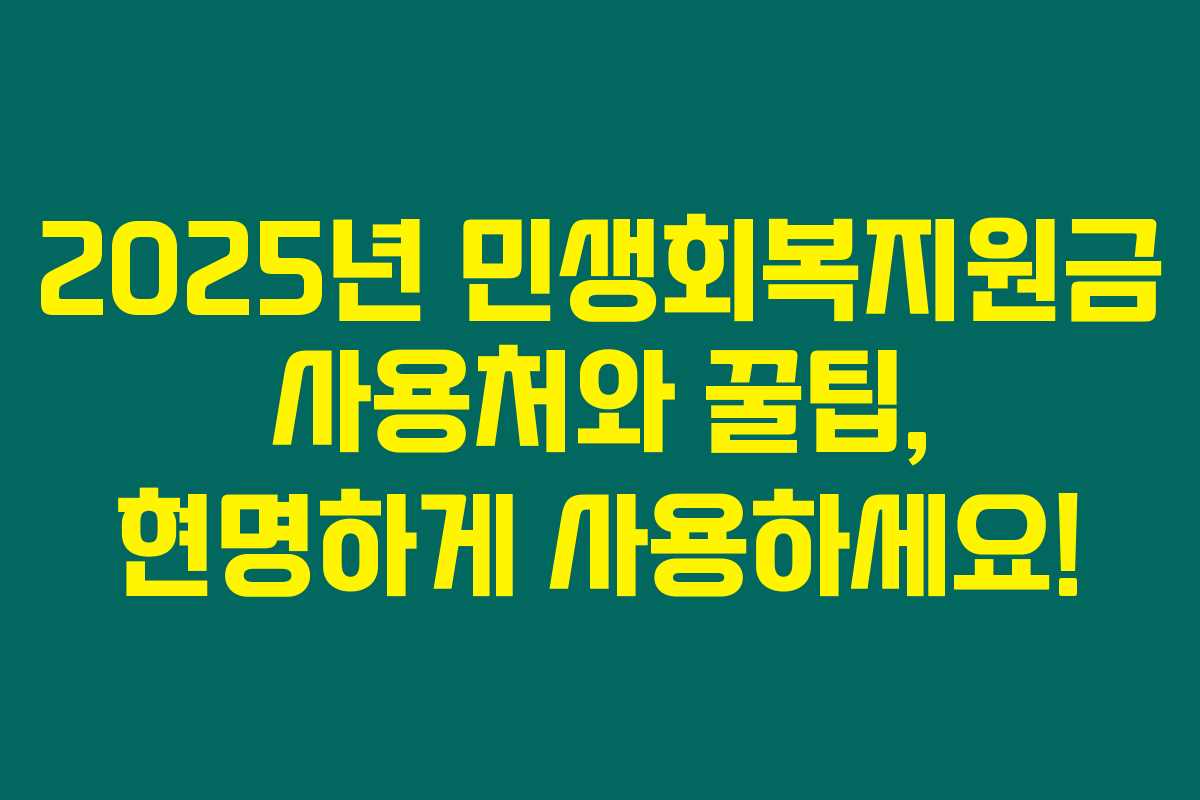 2025년 민생회복지원금 사용처와 꿀팁, 현명하게 사용하세요!