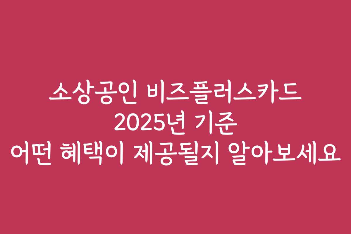 소상공인 비즈플러스카드 2025년 기준 어떤 혜택이 제공될지 알아보세요