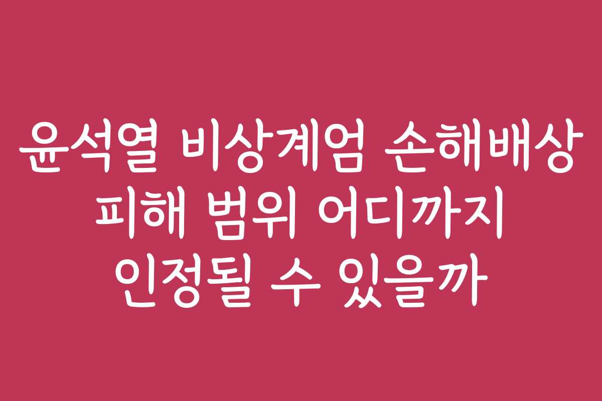 윤석열 비상계엄 손해배상 피해 범위 어디까지 인정될 수 있을까