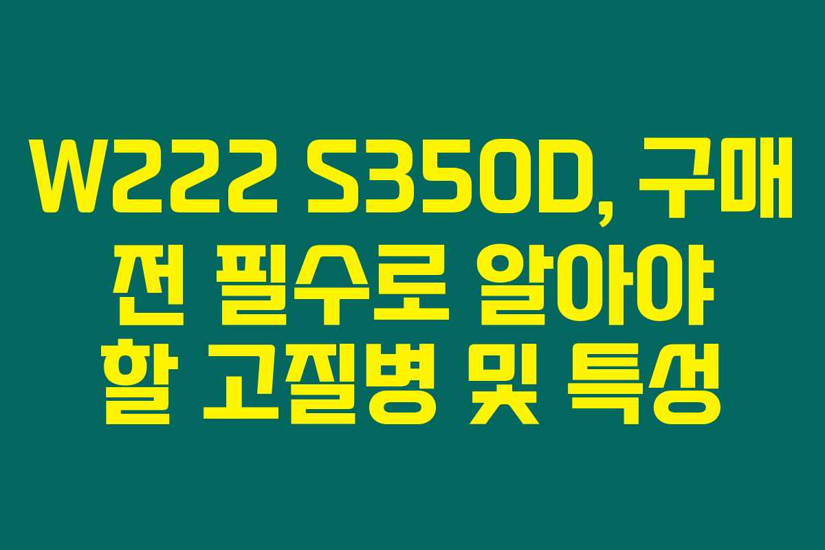 W222 S350D, 구매 전 필수로 알아야 할 고질병 및 특성