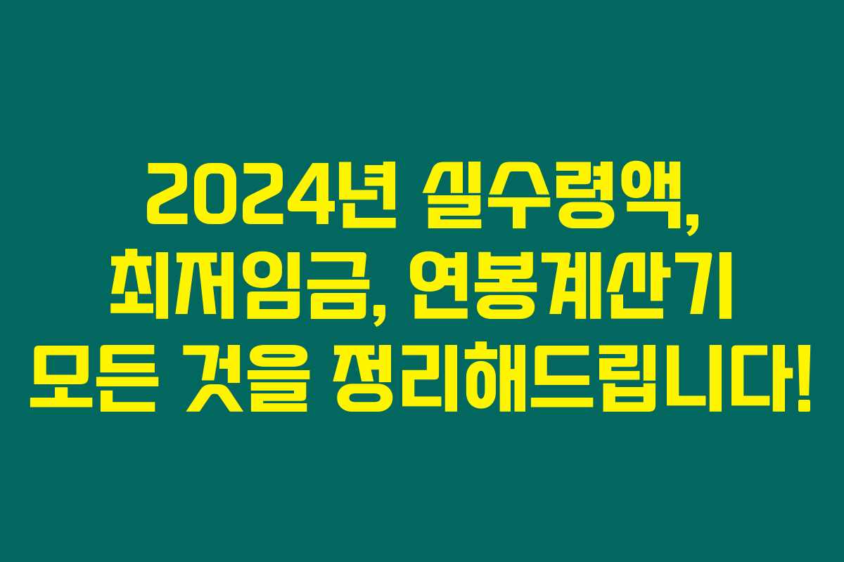 2024년 실수령액, 최저임금, 연봉계산기 모든 것을 정리해드립니다!