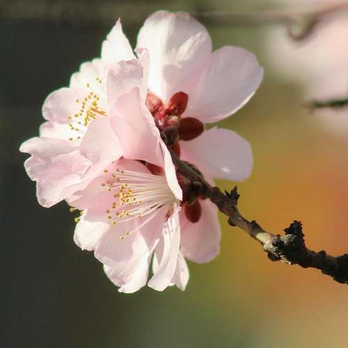 새출발기금, 당신이 알아야 할 신청 방법과 대상자 안내