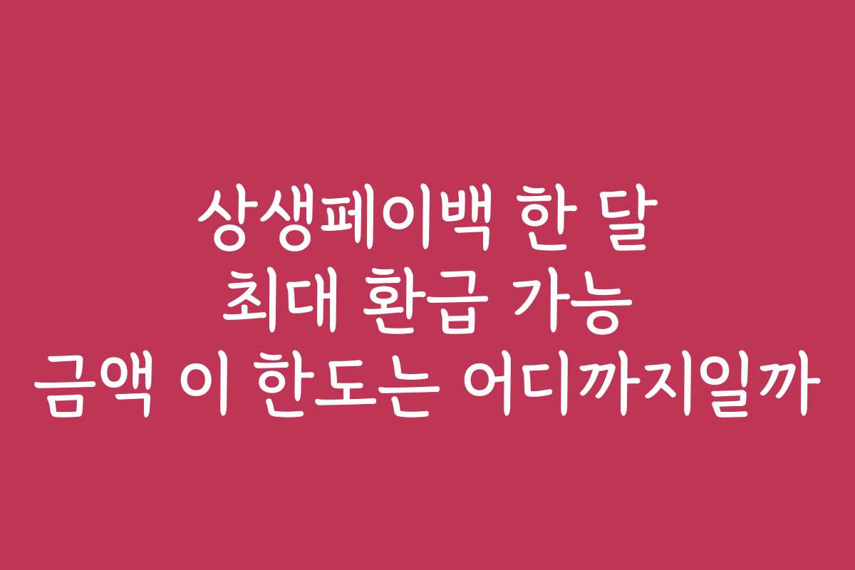 상생페이백 한 달 최대 환급 가능 금액 이 한도는 어디까지일까