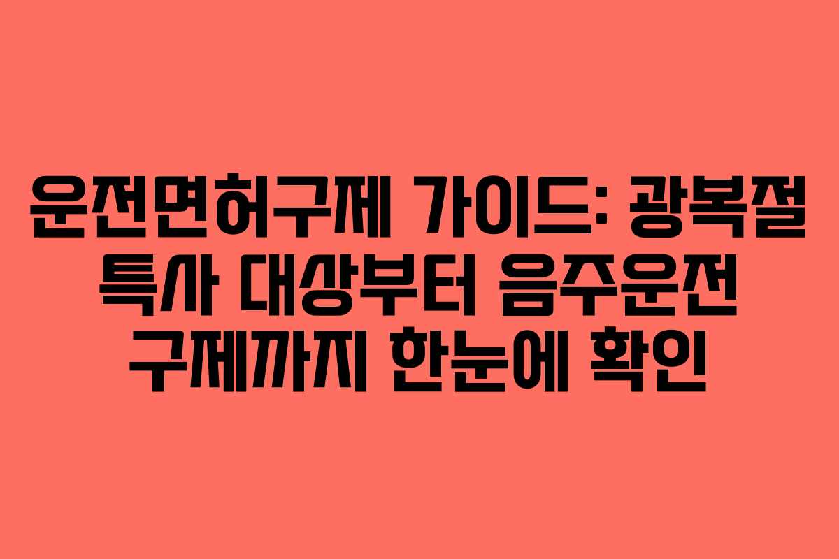 운전면허구제 가이드: 광복절 특사 대상부터 음주운전 구제까지 한눈에 확인