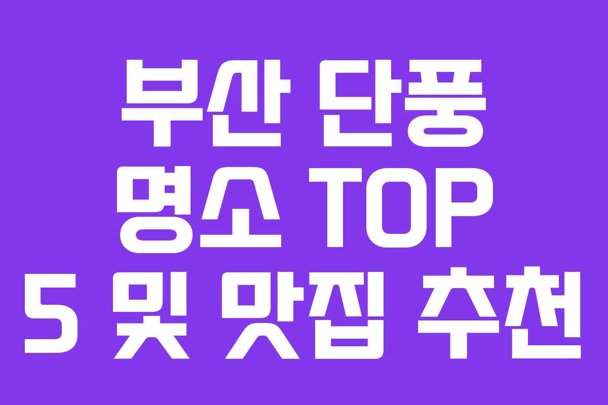 부산 단풍 명소 TOP 5 및 맛집 추천