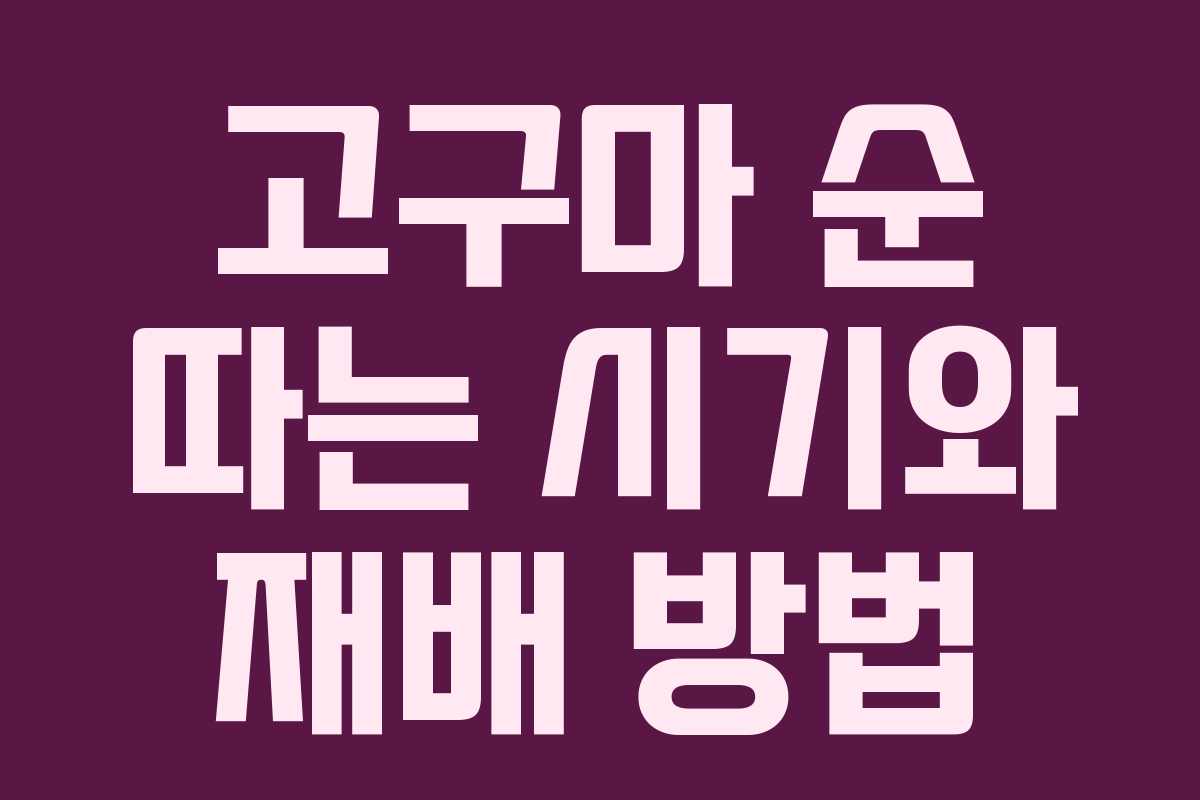 고구마 순 따는 시기와 재배 방법