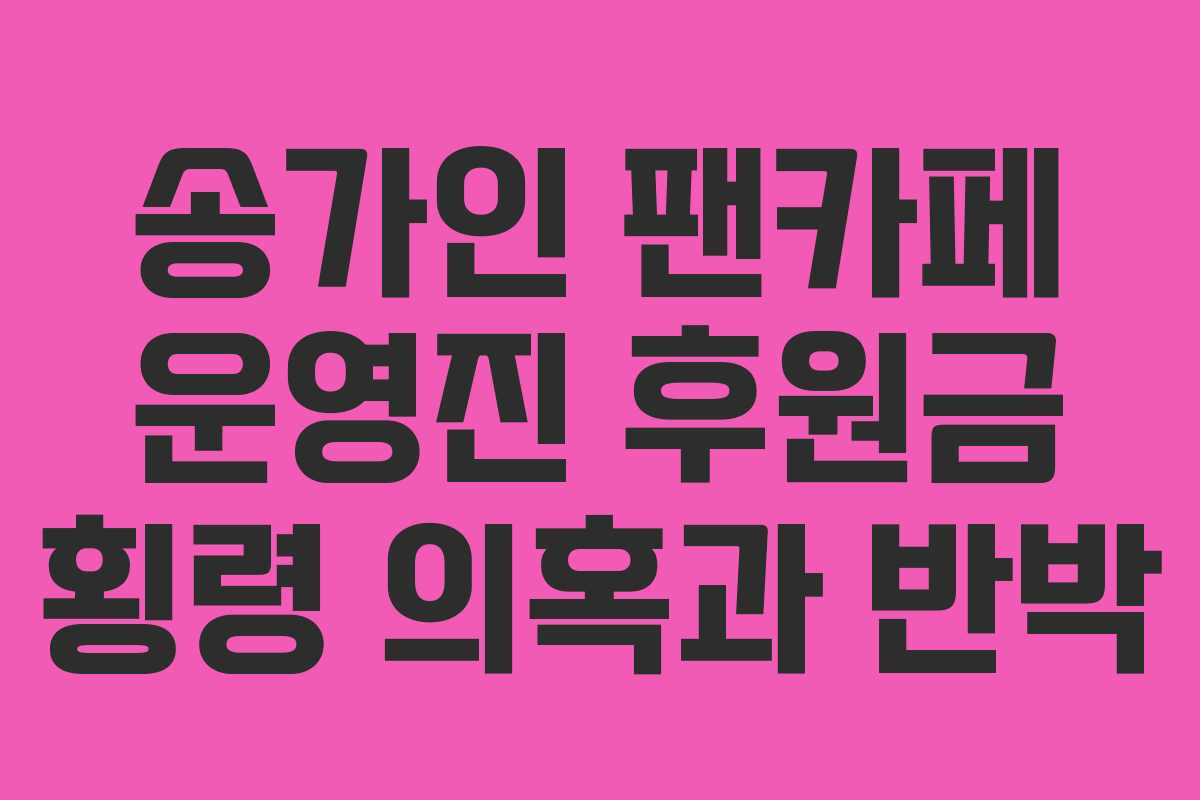 송가인 팬카페 운영진 후원금 횡령 의혹과 반박