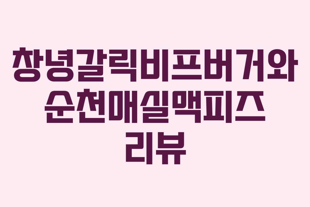 창녕갈릭비프버거와 순천매실맥피즈 리뷰