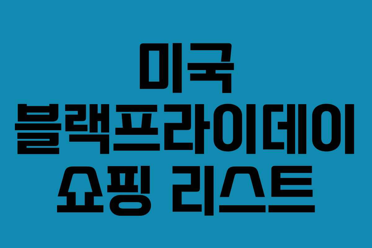 미국 블랙프라이데이 쇼핑 리스트