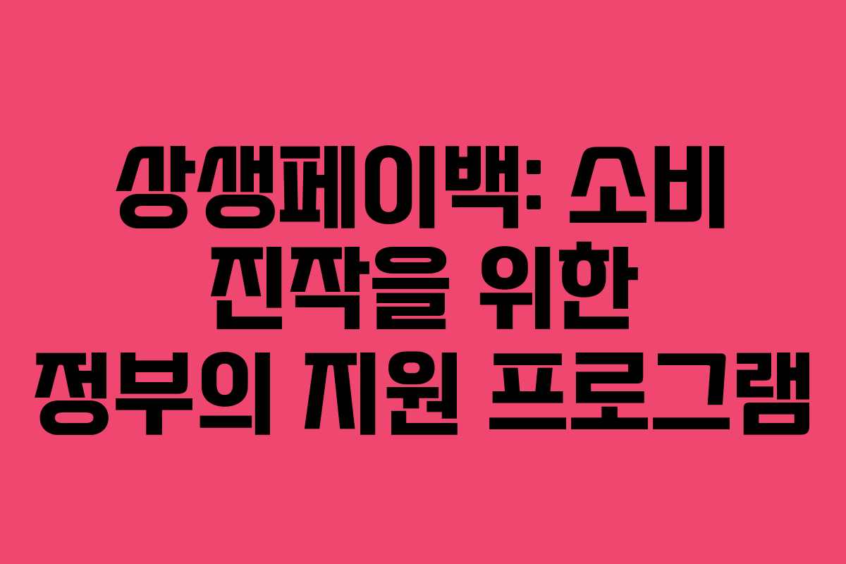 상생페이백: 소비 진작을 위한 정부의 지원 프로그램