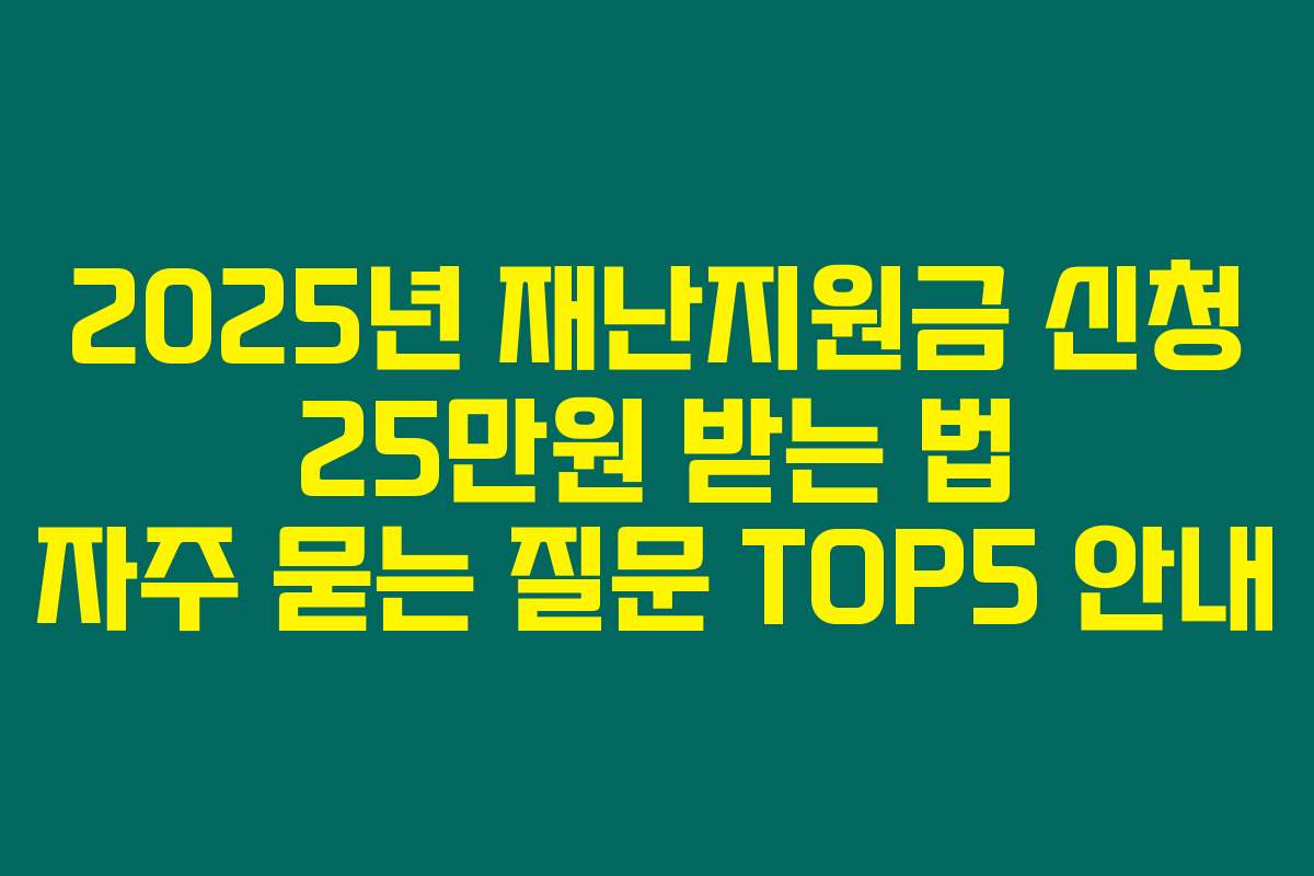 2025년 재난지원금 신청 25만원 받는 법 자주 묻는 질문 TOP5 안내