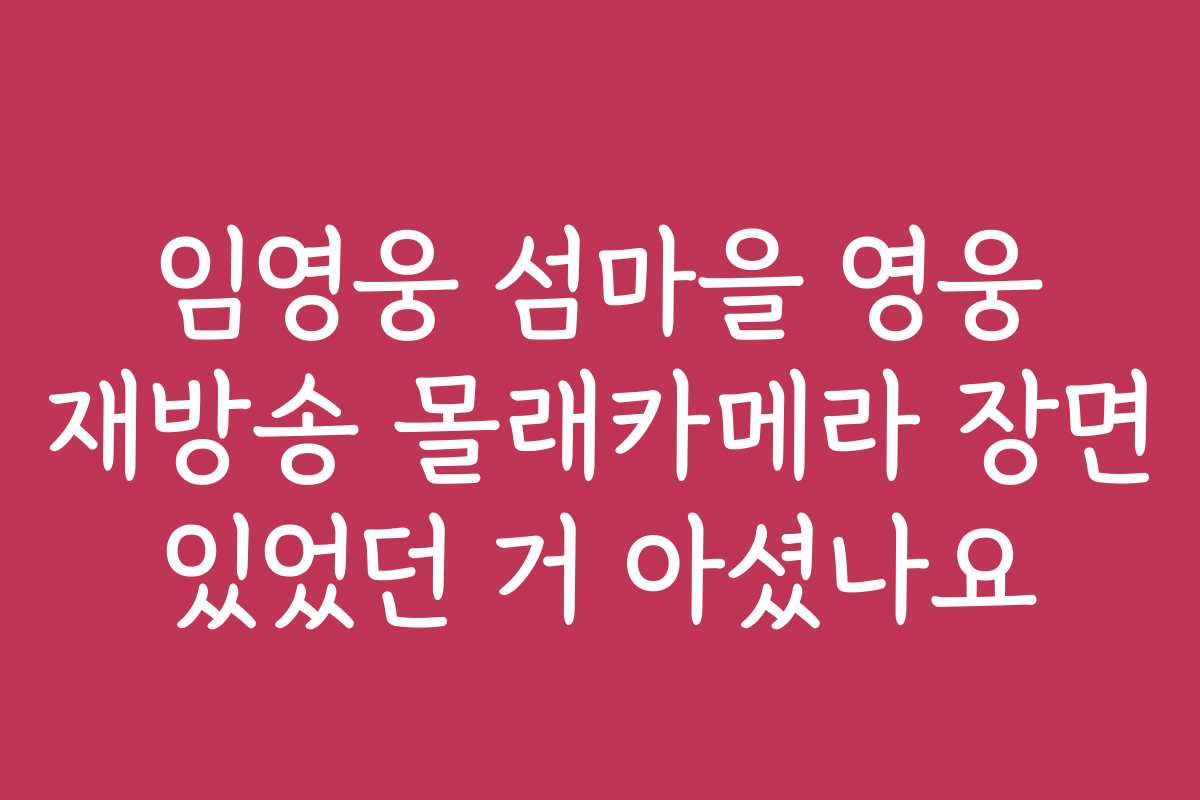 임영웅 섬마을 영웅 재방송 몰래카메라 장면 있었던 거 아셨나요