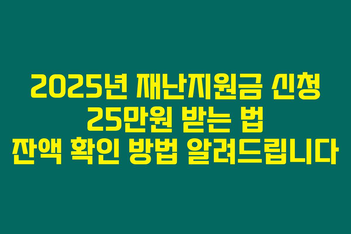 2025년 재난지원금 신청 25만원 받는 법 잔액 확인 방법 알려드립니다