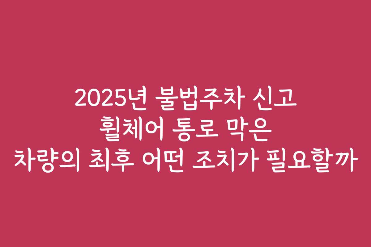 2025년 불법주차 신고 휠체어 통로 막은 차량의 최후 어떤 조치가 필요할까
