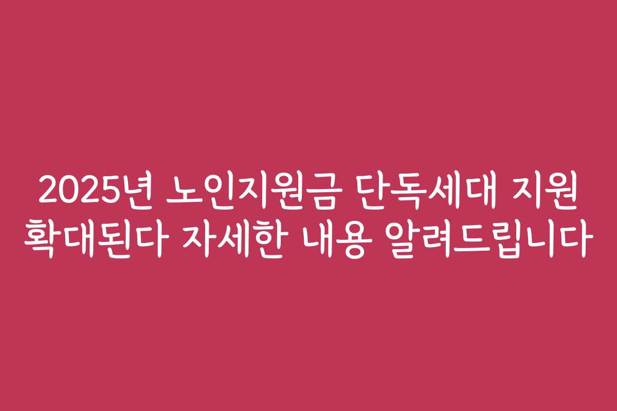 2025년 노인지원금 단독세대 지원 확대된다 자세한 내용 알려드립니다