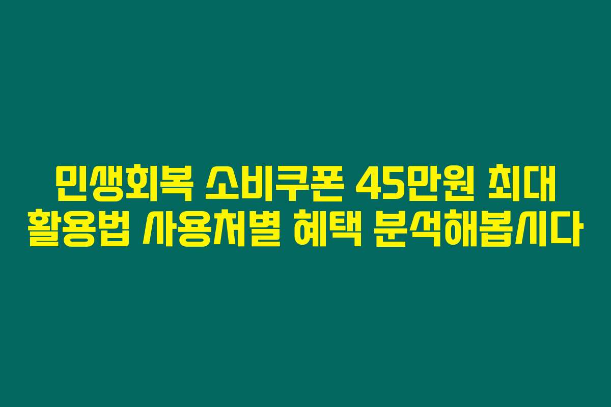 민생회복 소비쿠폰 45만원 최대 활용법 사용처별 혜택 분석해봅시다