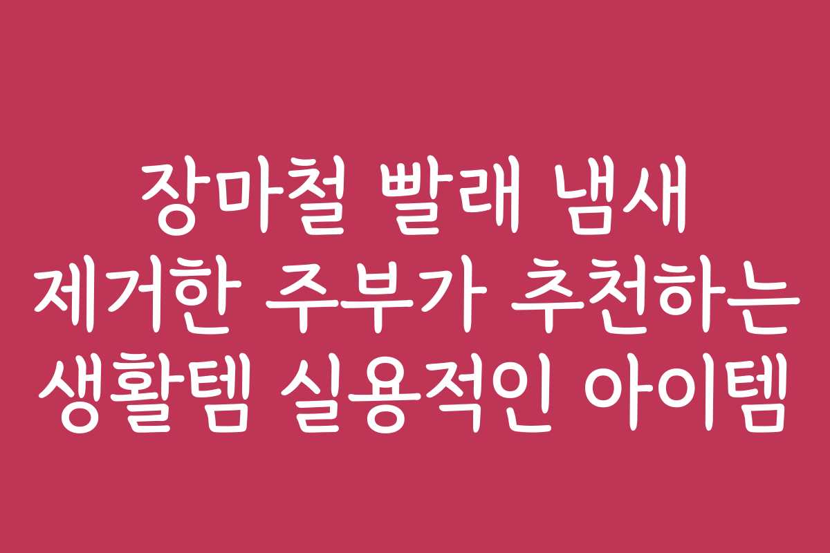 장마철 빨래 냄새 제거한 주부가 추천하는 생활템 실용적인 아이템