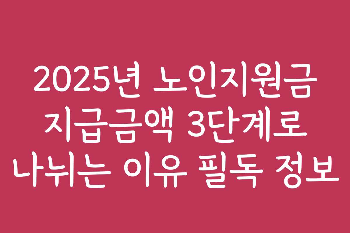 2025년 노인지원금 지급금액 3단계로 나뉘는 이유 필독 정보