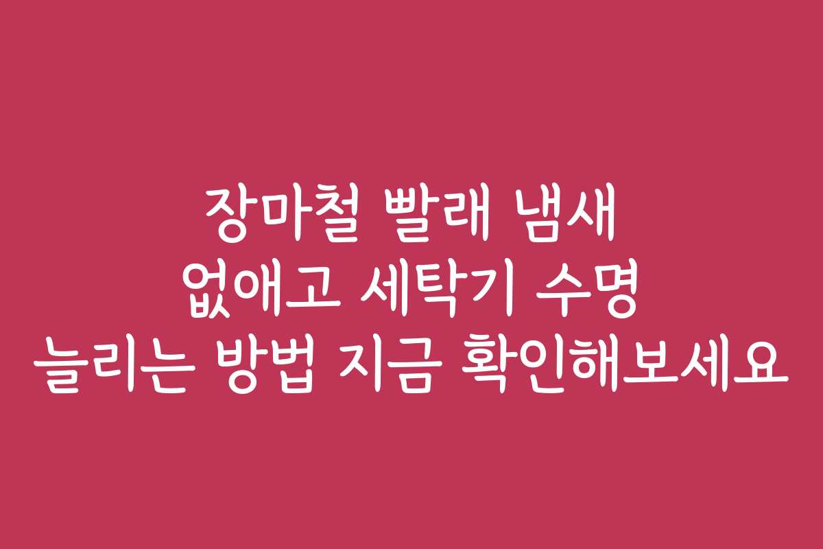 장마철 빨래 냄새 없애고 세탁기 수명 늘리는 방법 지금 확인해보세요