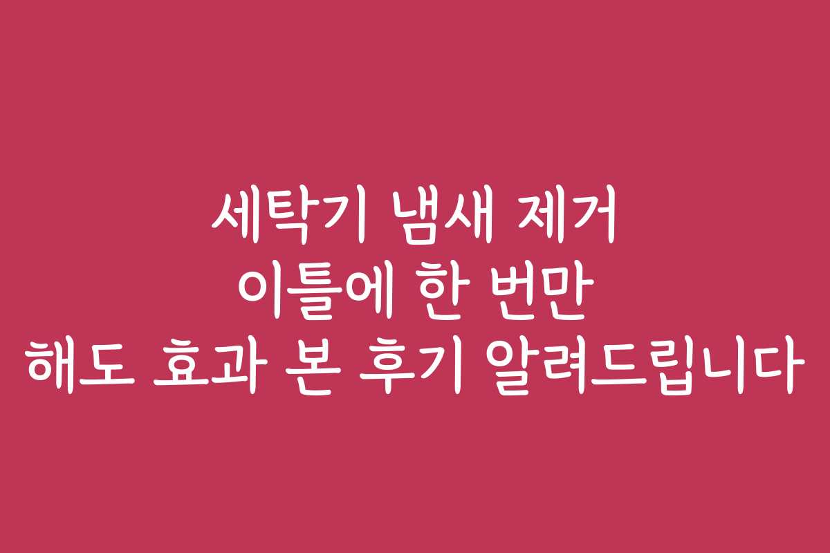 세탁기 냄새 제거 이틀에 한 번만 해도 효과 본 후기 알려드립니다