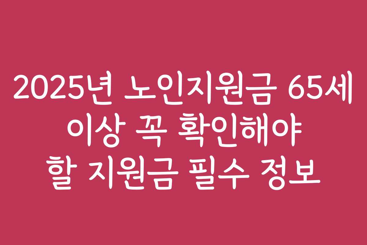 2025년 노인지원금 65세 이상 꼭 확인해야 할 지원금 필수 정보
