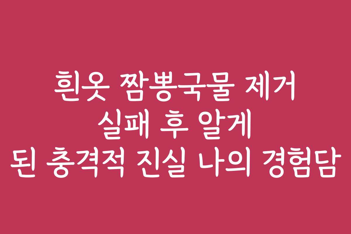 흰옷 짬뽕국물 제거 실패 후 알게 된 충격적 진실 나의 경험담