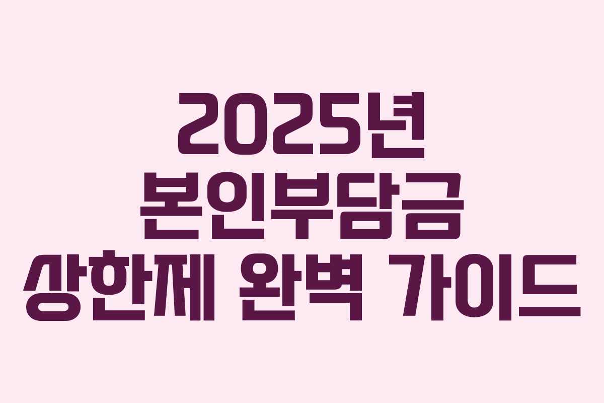 2025년 본인부담금 상한제 완벽 가이드