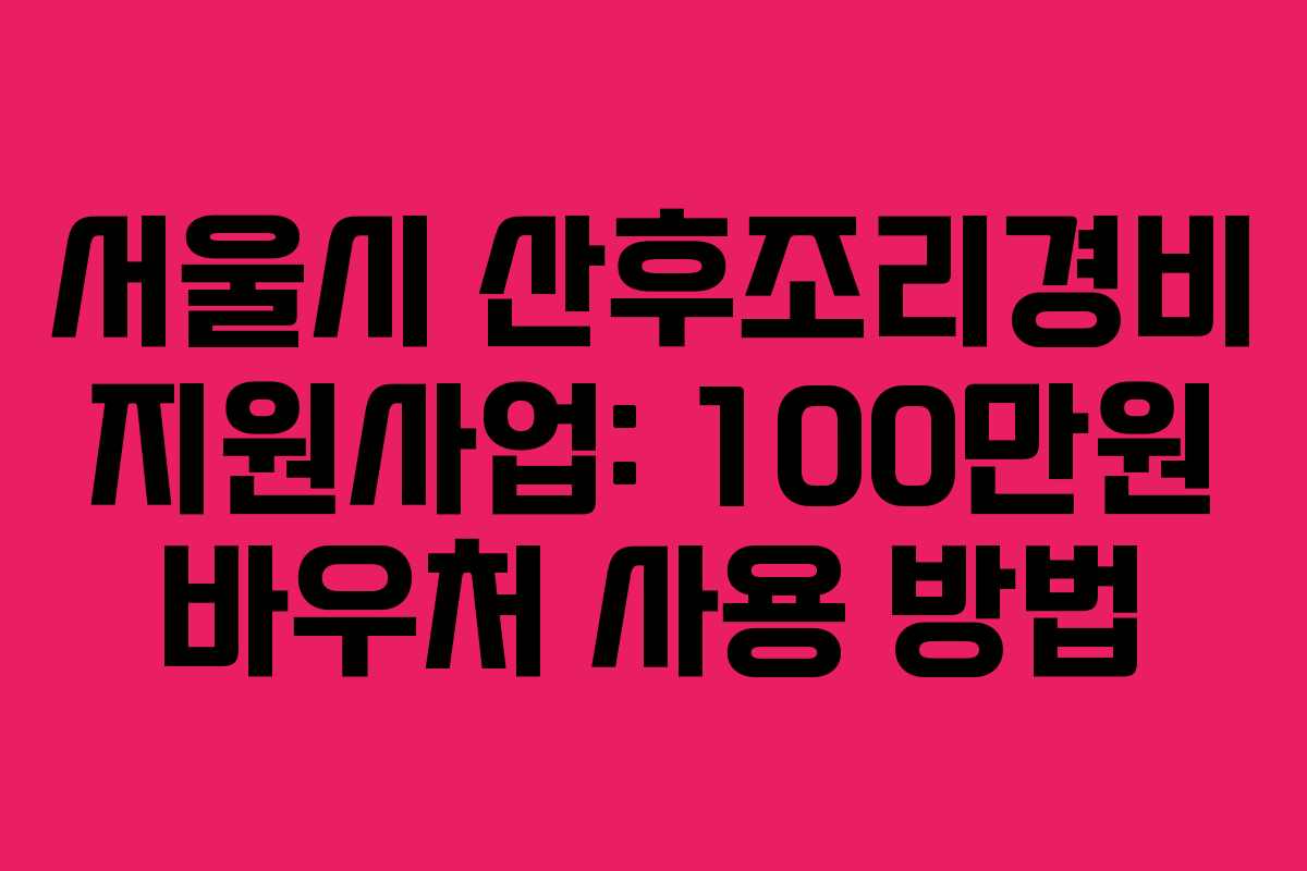 서울시 산후조리경비 지원사업: 100만원 바우처 사용 방법