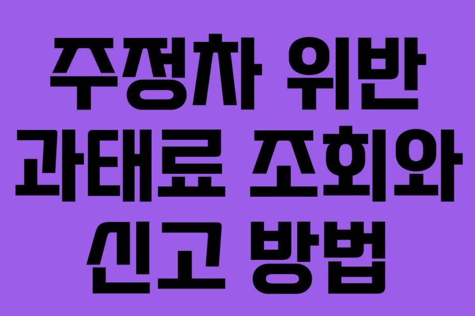 주정차 위반 과태료 조회와 신고 방법