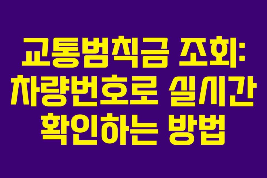 교통범칙금 조회: 차량번호로 실시간 확인하는 방법