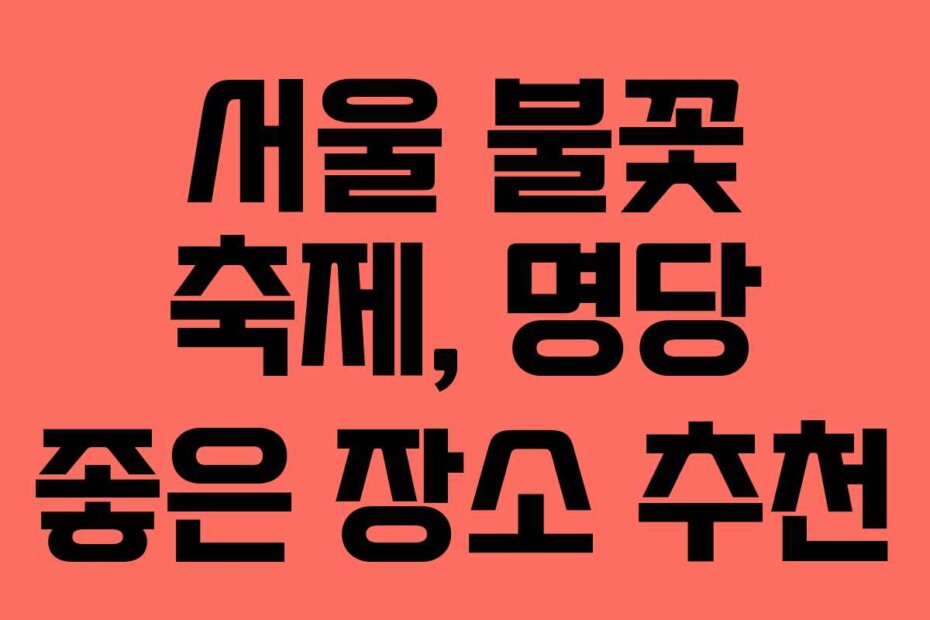 서울 불꽃 축제, 명당 좋은 장소 추천