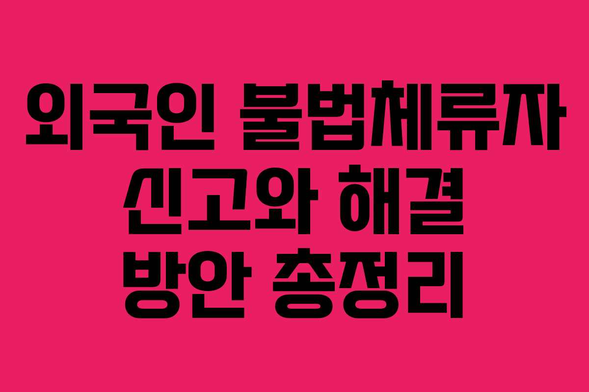 외국인 불법체류자 신고와 해결 방안 총정리