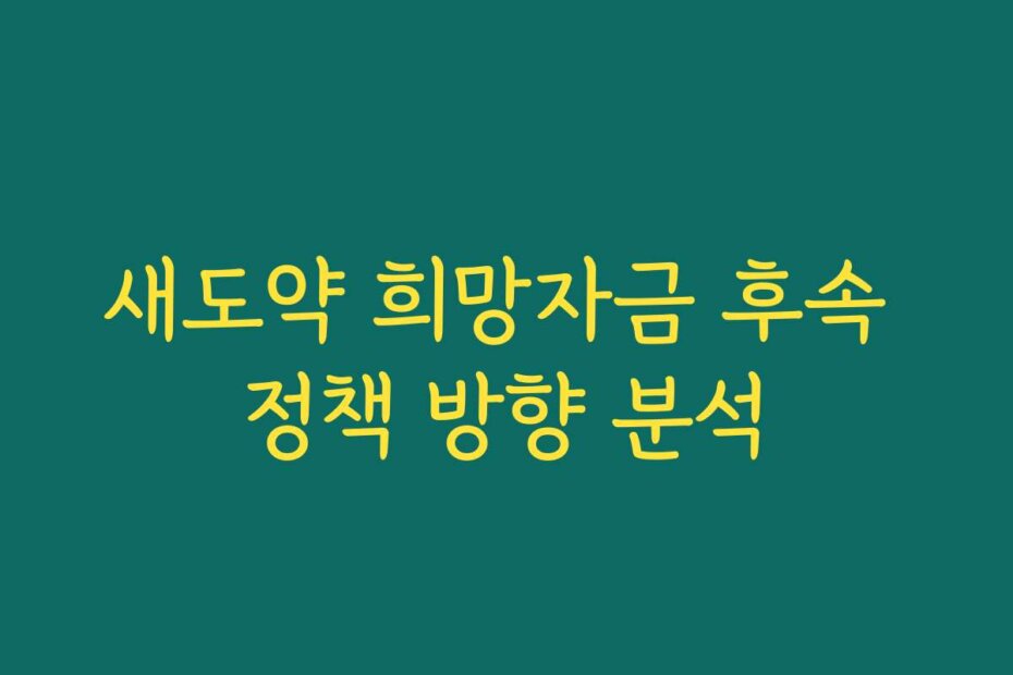 새도약 희망자금 후속 정책 방향 분석