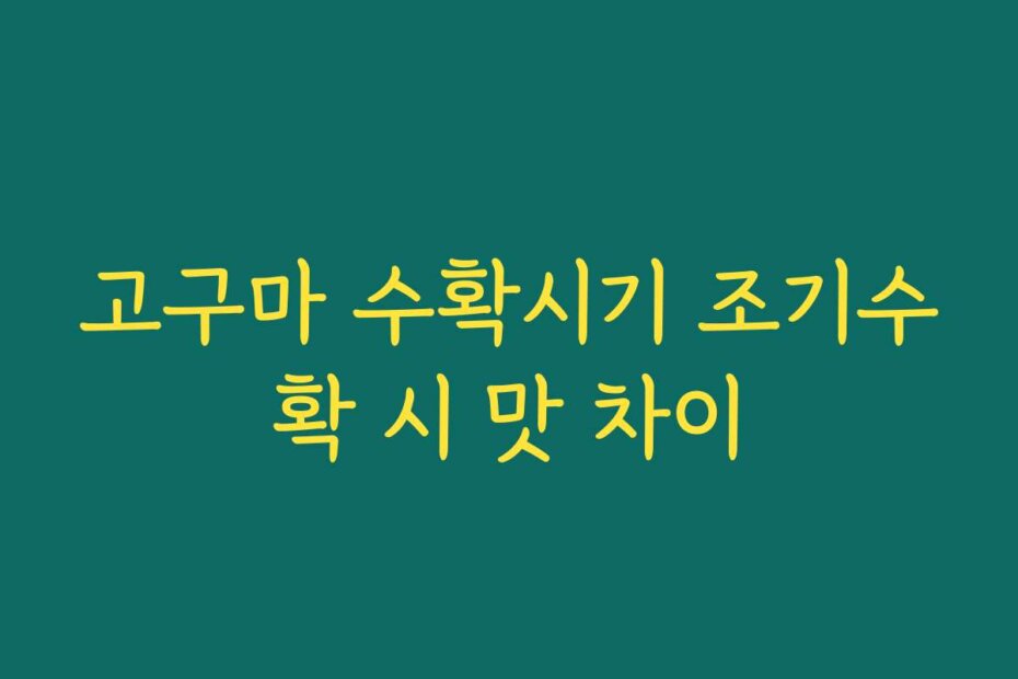 고구마 수확시기 조기수확 시 맛 차이