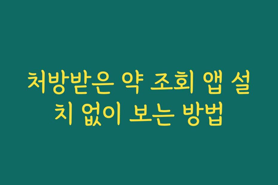 처방받은 약 조회 앱 설치 없이 보는 방법