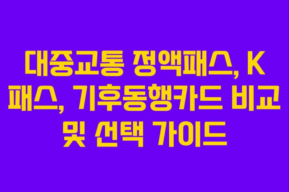 대중교통 정액패스, K 패스, 기후동행카드 비교 및 선택 가이드