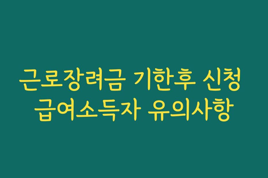 근로장려금 기한후 신청 급여소득자 유의사항