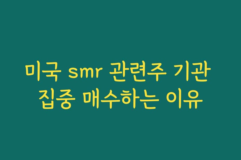 미국 smr 관련주 기관 집중 매수하는 이유