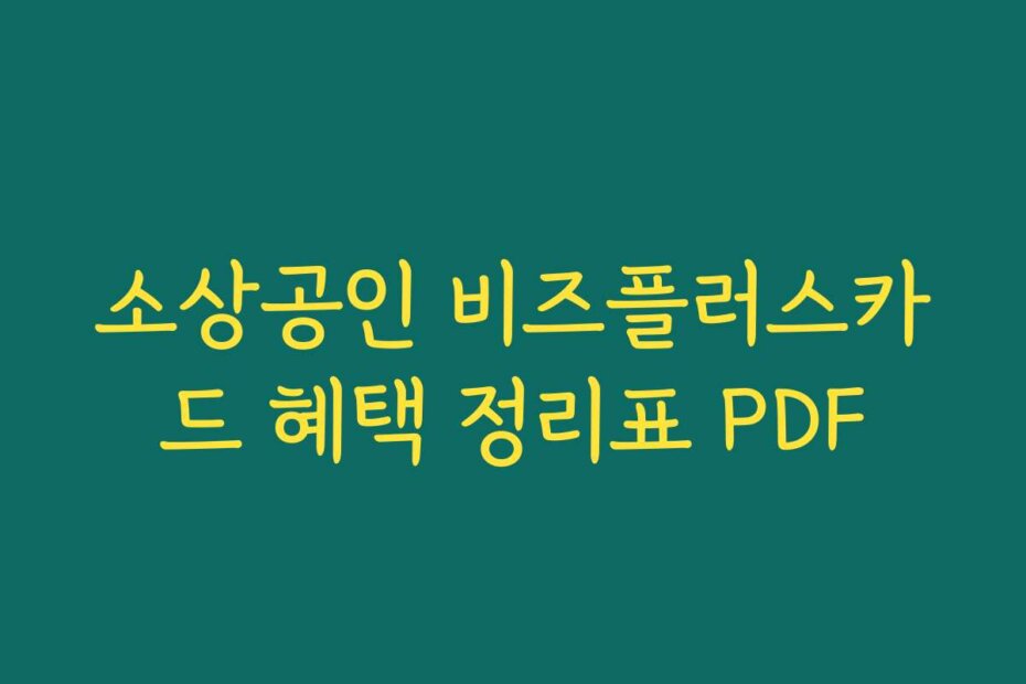 소상공인 비즈플러스카드 혜택 정리표 PDF