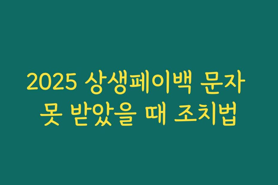2025 상생페이백 문자 못 받았을 때 조치법